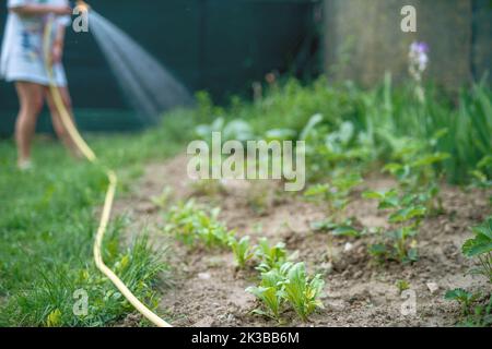 Zugeschnittenes Bild einer Frau im Garten. Stockfoto