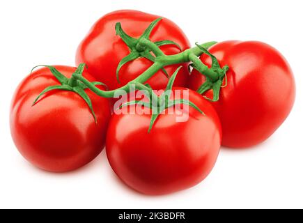Tomaten am Zweig, auf weißem Hintergrund, Beschneidungspfade, volle Tiefenschärfe Stockfoto