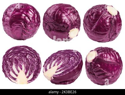 Rotkohl, isoliert auf weißem Hintergrund, Schnittpfad, volle Schärfentiefe Stockfoto