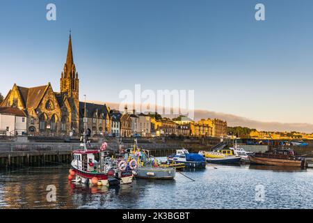 Die Morgensonne erleuchtet Newhaven mit seinem malerischen Hafen am Firth of Forth, Edinburgh, Schottland, Stockfoto