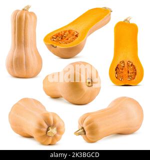 Kürbis Butternut Squash isoliert auf weißem Hintergrund, volle Tiefenschärfe Stockfoto