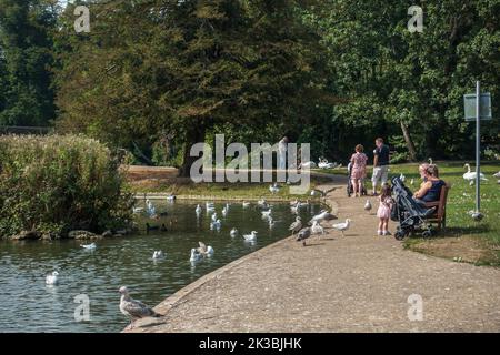 Der See, Kearsney Abbey, Garten, Park, Dover, Kent, England Stockfoto