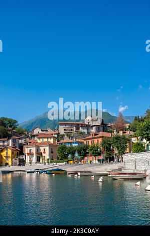 Blick über den See Mergozzo auf das Dorf Mergozzo, Piemont, Italien, Europa Stockfoto