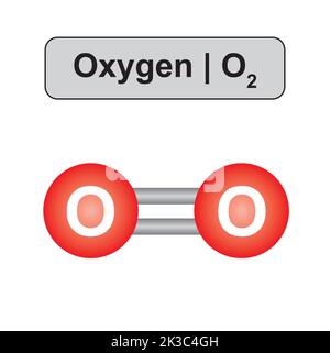 Molekulares Modell des Sauerstoffmoleküls (O2). Vektorgrafik. Stock Vektor