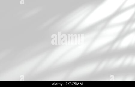 Abstrakte, graue Schattenschablone mit Palmblatt auf einer Hintergrundszene für Fotos, Poster, Schreibwaren, Wandbilder und Designpräsentationen Stockfoto