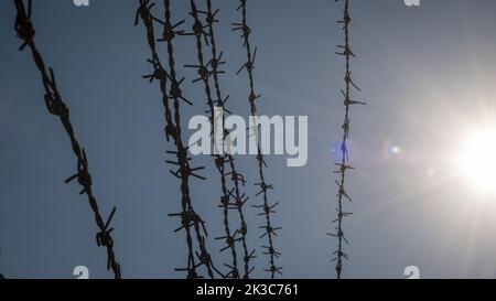 Stacheldraht mit blauem Himmel und Sonne im Hintergrund, Idee der Freiheit und Hoffnung, rostiger Stacheldraht, Sicherheit und Schutz, Metalldrähte, selektiver Fokus Stockfoto