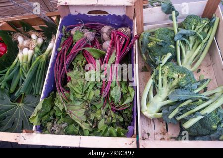 Rom, Italien - September 2022 - Frische Produkte auf dem Campo de Fiori Markt erhältlich Stockfoto