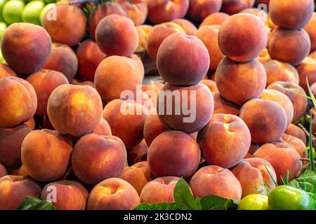 Pfirsich auf der Markttheke. Haufen reifer Pfirsiche Stockfoto