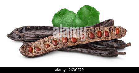 Reife Johannisbrotschoten und Bohnen isoliert auf weißem Hintergrund mit voller Schärfentiefe, Stockfoto