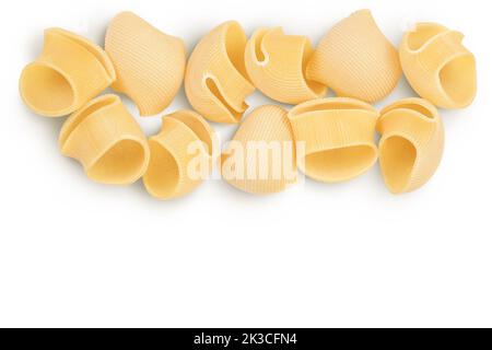 Lumaconi Pasta isoliert auf weißem Hintergrund mit voller Schärfentiefe. Draufsicht mit Platz für den Text. Flach liegend. Stockfoto