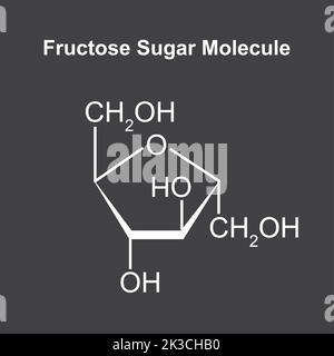 Chemische Illustration des Fructose-Zucker-Moleküls. Vektorgrafik. Stock Vektor