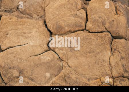 Point Lobos orange gelb weiche Steinstruktur mit Rissen. Natürliche Formen und Naturgeometrie Stockfoto