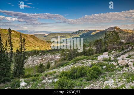 Black Mountain, Hightop rechts, über den Twelvemile Canyon, Blick vom Skyline Drive (FR 022), Wasatch Plateau, Manti La Sal National Forest, Utah, USA Stockfoto