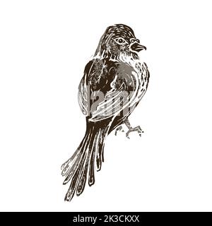 Niedlicher mutiger Vogel im Linolschnitt-Retro-Stil, Vintage-Silhouette des Vogels isoliert auf Weiß Stock Vektor
