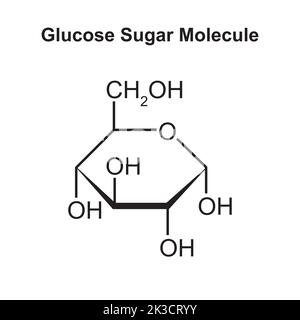 Chemische Illustration des Glukose-Zucker-Moleküls. Vektorgrafik. Stock Vektor