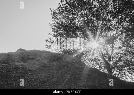 Ein kleiner Winkel in Graustufen, bei dem die Sonne durch einen Baum auf einem Hügel scheint Stockfoto