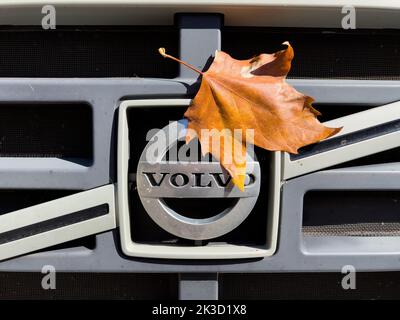 Göteborg, Schweden - 21. Sep 2022: Volvo LKW-Logo auf einem schweren LKW-Transport mit gelbem Ahornholz-Laub, der den Teil der Insignien bedeckt - Herbst Herbst kommt auf die Straße Stockfoto