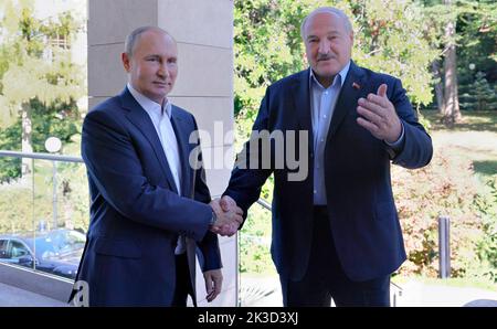 Moskau, Russland. 26. September 2022. Der russische Präsident Wladimir Putin begrüßt den belarussischen Präsidenten Alexander Lukaschenko, rechts, bei seiner Ankunft in der Residenz Bocharov Rutschei am 26. September 2022 in Sotschi, Russland. Kredit: Gavriil Grigorov/Kremlin Pool/Alamy Live Nachrichten Stockfoto