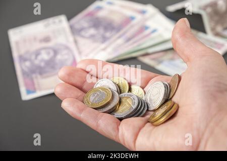 Polnisches Bargeld Zloty zur Hand. Bezahlen, Geben, Empfangen von Geld. Finanzkonzept. Bargeld ist Müll. Stockfoto