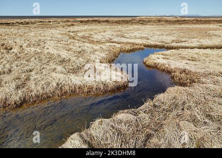 Kleine Bach fließt Stockfoto