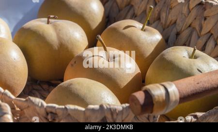 Gelbe Äpfel in einem geflochtenen Korb, Nahaufnahme, Obsthintergrund Stockfoto