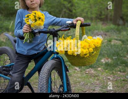 Unerkennbarer Junge mit einem blauen Fahrrad. Am Griff hängt ein Weidenkorb voller Frühlingsblumen - gelber Dandelion. Muttertagsgeschenk für Mutter. Sta Stockfoto