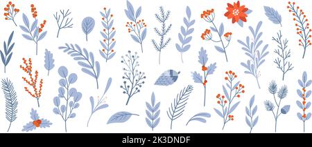 Isolierte Winterblätter und Zweige. Mistel und Beeren auf dem Ast, Tannenbaum, rote Blumen. Weihnachtspflanzen, rassige botanische festliche Vektor Stock Vektor
