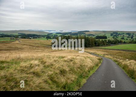 Blick auf den ersten Teil der Adamthwaite Bank, einer steilen Sackgasse in den Howgills in der Nähe von Ravenstonedale, Cumbria, England, Großbritannien Stockfoto