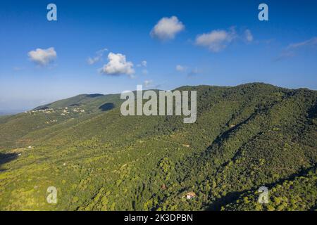 Luftaufnahme des Berges Montnegre von der Südwand, in der Region Maresme (Barcelona, Katalonien, Spanien) ESP: Vista aérea del Montnegre Stockfoto