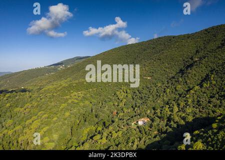 Luftaufnahme des Berges Montnegre von der Südwand, in der Region Maresme (Barcelona, Katalonien, Spanien) ESP: Vista aérea del Montnegre Stockfoto