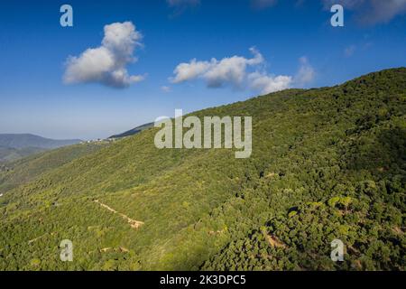 Luftaufnahme des Berges Montnegre von der Südwand, in der Region Maresme (Barcelona, Katalonien, Spanien) ESP: Vista aérea del Montnegre Stockfoto