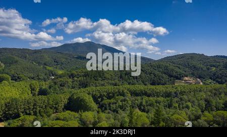 Luftaufnahme des Montnegre-Berges von der Nähe von Vallgorguina (Vallès Oriental, Barcelona, Katalonien, Spanien) ESP: Vista aérea del Montnegre Stockfoto