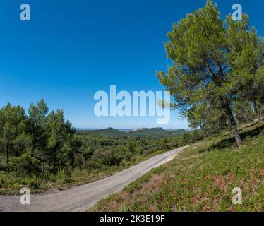 Eine ruhige Landstraße in den Alpilles in der Nähe von Saint-Rémy-de-Provence, Frankreich. Stockfoto