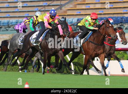 HAPPY SHARING (5) unter Y L Chung (rote Kappe) und RISING FROM ASHES (1) unter Vincent Ho Chak-yiu-Prozess in Los 3 über 1000meters (Turf) bei Sha Tin. 03SEP22 SCMP/Kenneth Chan. Stockfoto