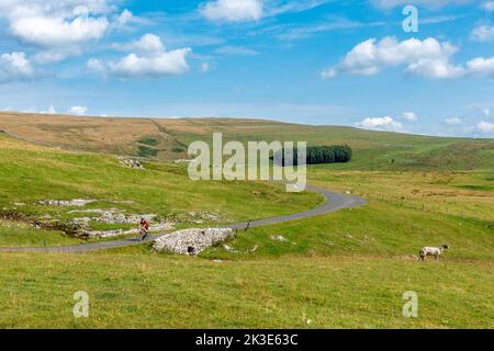 Mann, der an einem atemberaubenden Tag über Malham Moor auf einem Rennrad auf einer Landstraße unterwegs ist, Yorkshire Dales National Park, England, Großbritannien Stockfoto