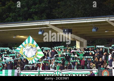 Stockholm, Schweden. 26. September 2022. Stockholm, Schweden, 26. 2022. September: Hammarby IF FF-Fans vor dem Spiel in der Schwedischen Liga OBOS Damallsvenskan am 26. 2022. September zwischen Hammarby IF und Linkoping FC bei Hammarby IP in Stockholm Schweden (Peter Sonander/SPP) Quelle: SPP Sport Pressefoto. /Alamy Live News Stockfoto