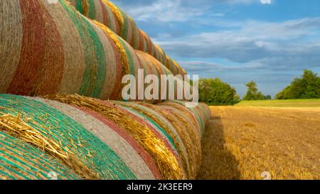 Seitenansicht von bunten Heuballen, die an einem Sommertag mit blauem Himmel auf einem Feld gestapelt und geballt wurden Stockfoto