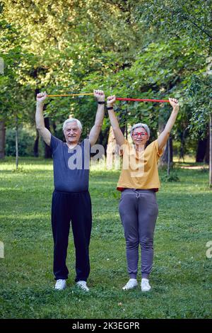 Ältere Ehegatten tragen Sportkleidung und machen morgens im Sommerpark Übungen mit Gummibändern. Gesunder Lebensstil, aktiver Ruhestand Stockfoto