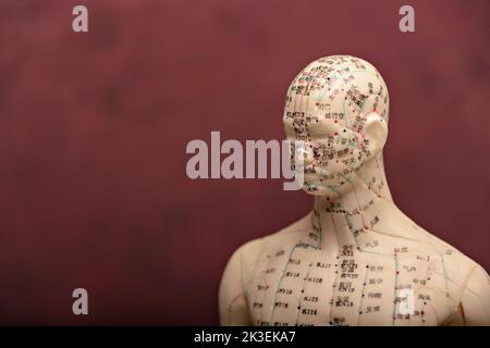 Schaufensterpuppe mit Akupunkturpunkten und Meridianen. Stockfoto