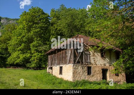 Verfluchten überströmtes altes zerstörtes leeres Haus auf dem Land, am Ende des verlassenen Dorfes Stockfoto