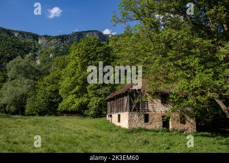 Verfluchten überströmtes altes zerstörtes leeres Haus auf dem Land, am Ende des verlassenen Dorfes Stockfoto