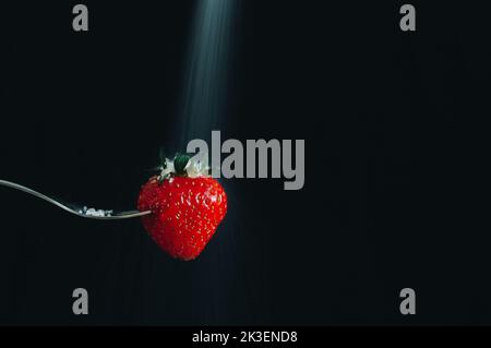 Frische reife rote Erdbeeren aufgespießt auf einer Silbergabel und Zucker darauf. Schwarzer Hintergrund. Lange Belichtung, selektiver Fokus Stockfoto