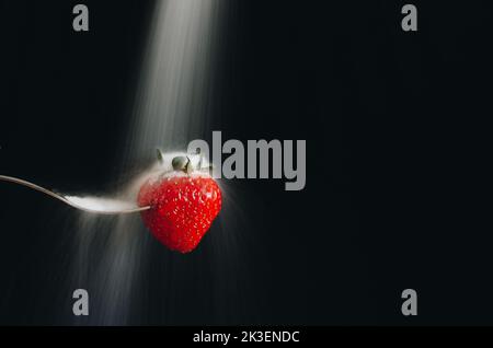 Frische reife rote Erdbeeren aufgespießt auf einer Silbergabel und Zucker darauf. Schwarzer Hintergrund. Lange Belichtung, selektiver Fokus Stockfoto