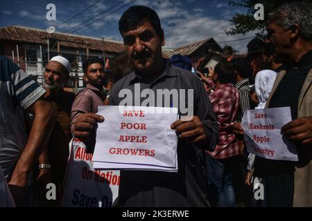 Srinagar, Indien. 26. September 2022. Mitglieder der Obstanbau-Vereinigung des Kaschmir-Tals rufen bei einem Protest in Srinagar, der Sommerhauptstadt des indischen Kaschmir, Slogans auf. Obstbauern im Kaschmir Valley protestieren gegen die Behörden, weil sie behaupten, ihre mit Früchten beladenen Lastwagen entlang der 270 Kilometer langen Jammu-Srinagar-Autobahn angehalten zu haben. (Foto: Mubashir Hassan/Pacific Press) Quelle: Pacific Press Media Production Corp./Alamy Live News Stockfoto