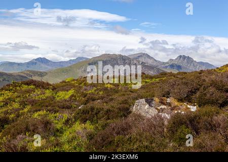 Tryfan und das Glyderau von Craig Wen aus gesehen, einem Teil der Bergketten, die über dem Ogwen Valley, Snowdonia National Park, ragen Stockfoto