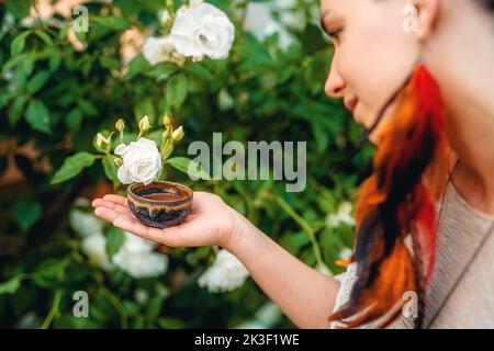 Kakaozeremonie im Garten, herzöffnende Medizin. Zeremonienraum. Rosenhintergrund. Stockfoto