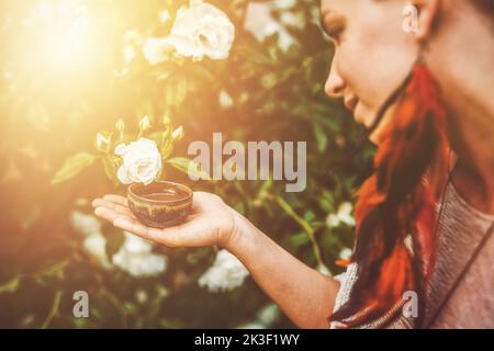 Kakaozeremonie im Garten, herzöffnende Medizin. Zeremonienraum. Rosenhintergrund. Stockfoto