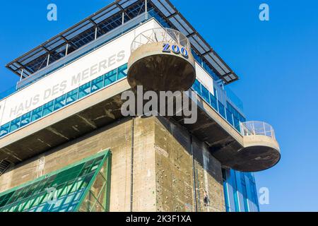 Wien, Wien: Öffentliches Aquarium des Hauses des Meeres im ehemaligen Flakenturm, Kletterwand 06. Mariahilf, Wien, Österreich Stockfoto