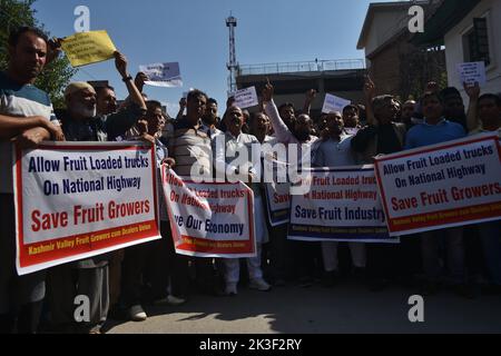 Srinagar, Indien. 26. September 2022. Mitglieder der Obstanbau-Vereinigung des Kaschmir-Tals rufen bei einem Protest in Srinagar, der Sommerhauptstadt des indischen Kaschmir, Slogans auf. Obstbauern aus dem Kaschmir-Tal protestieren gegen die Behörden, weil sie ihre mit Früchten beladenen Lastwagen entlang der 270 Kilometer langen Jammu-Srinagar-Autobahn in Indien am 26. September 2022 angehalten haben. (Foto: Mubashir Hassan/Pacific Press/Sipa USA) Quelle: SIPA USA/Alamy Live News Stockfoto