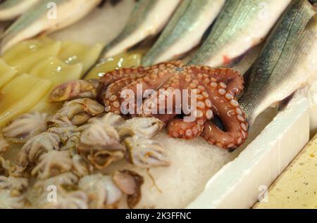 Frisch gefangener Fisch liegt auf dem Eis am Marktschalter. Nahaufnahme. Stockfoto